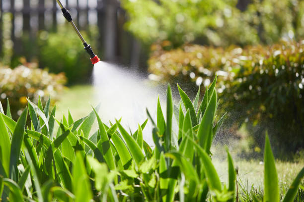 Tamper-Resistant Bait Stations for Rodents in Glen Cove