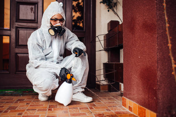 Attic and Crawl Space Rodent Treatment in Glen Cove