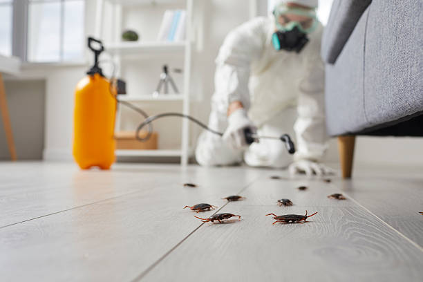 Commercial Rodent Management in Glen Cove